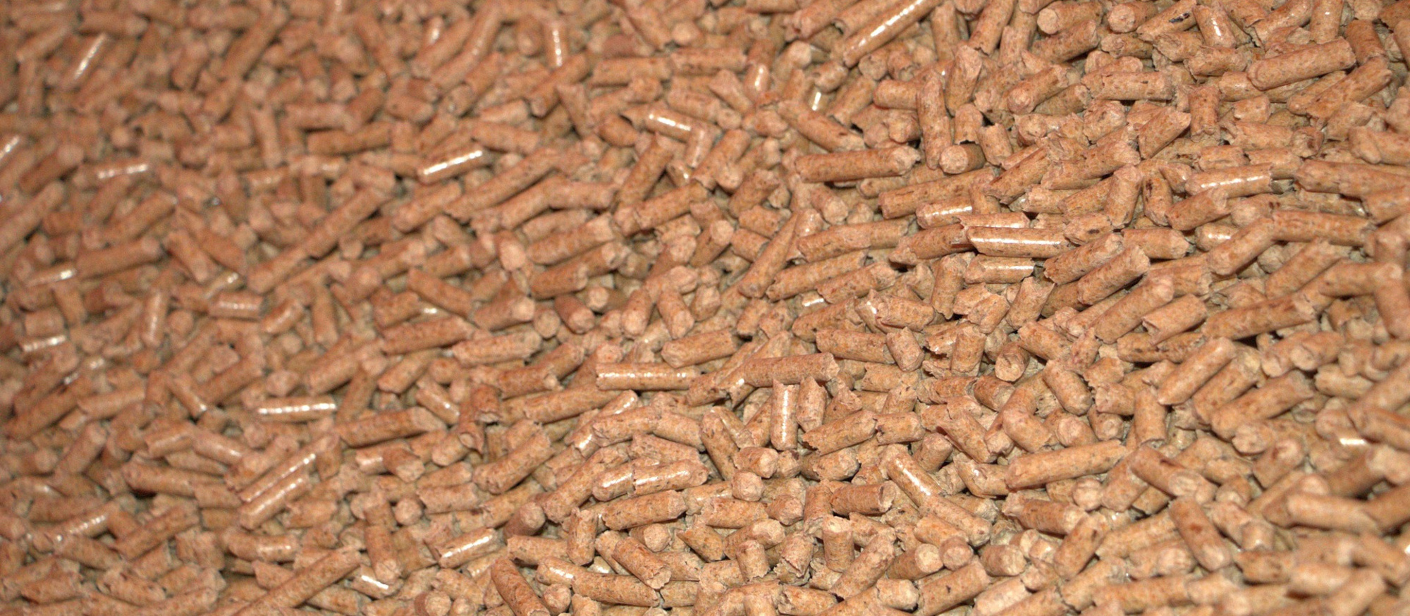 pellets-gb5237fb7f_1920