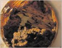 pud_05_big